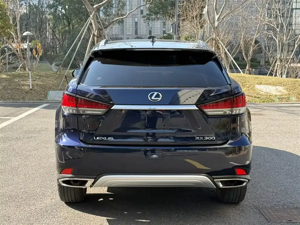 Lexus RX — фото 6