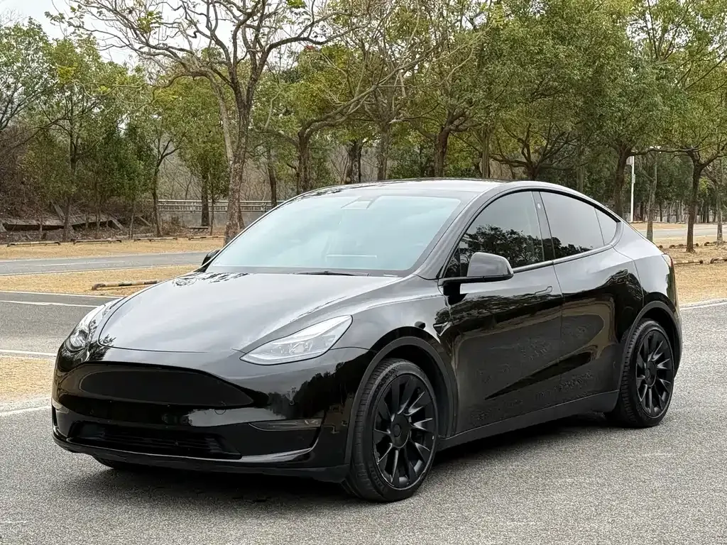 Tesla Model Y — фото 1