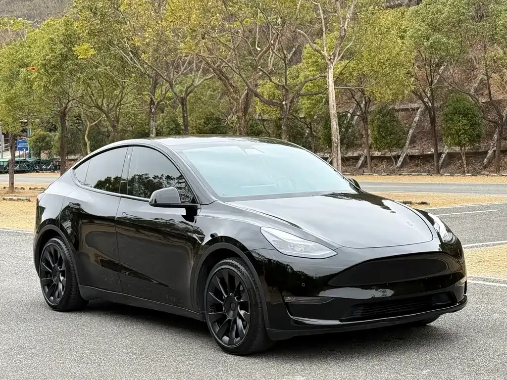 Tesla Model Y — фото 10