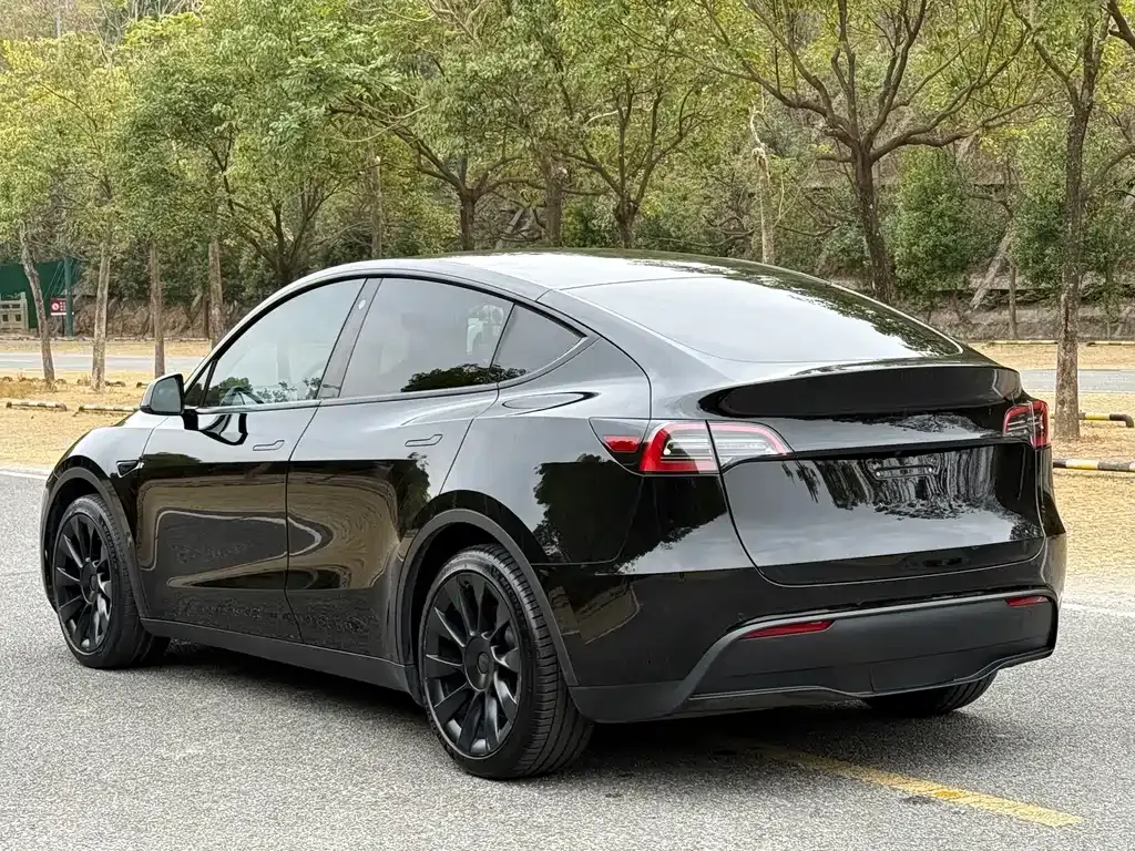 Tesla Model Y — фото 5