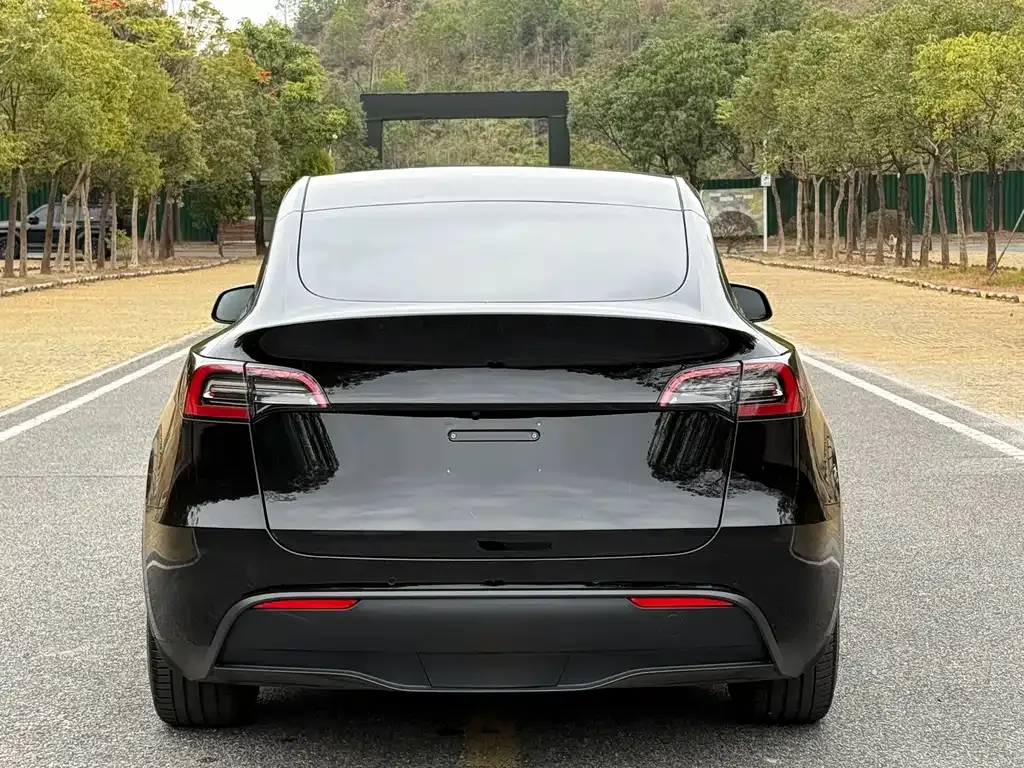 Tesla Model Y — фото 6