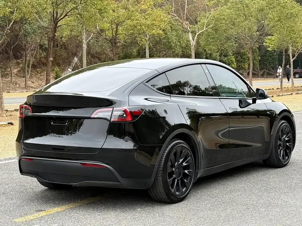 Tesla Model Y — фото 9
