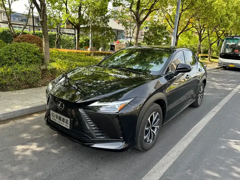 Lexus RZ — фото 1