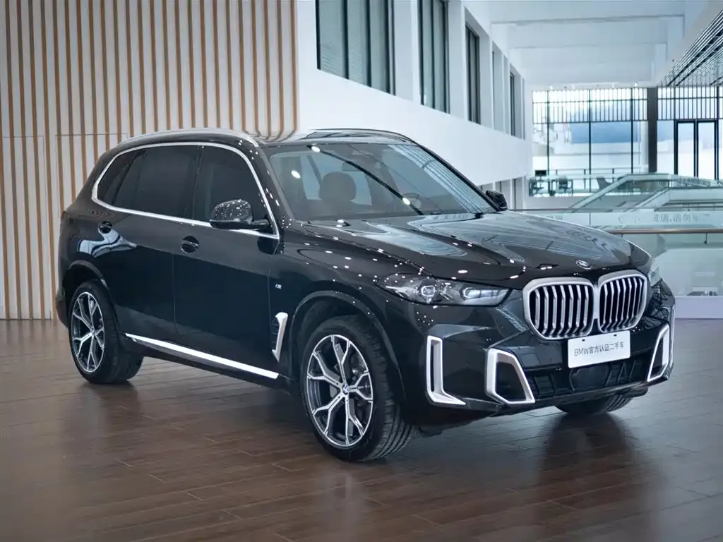 BMW X5 — фото 10