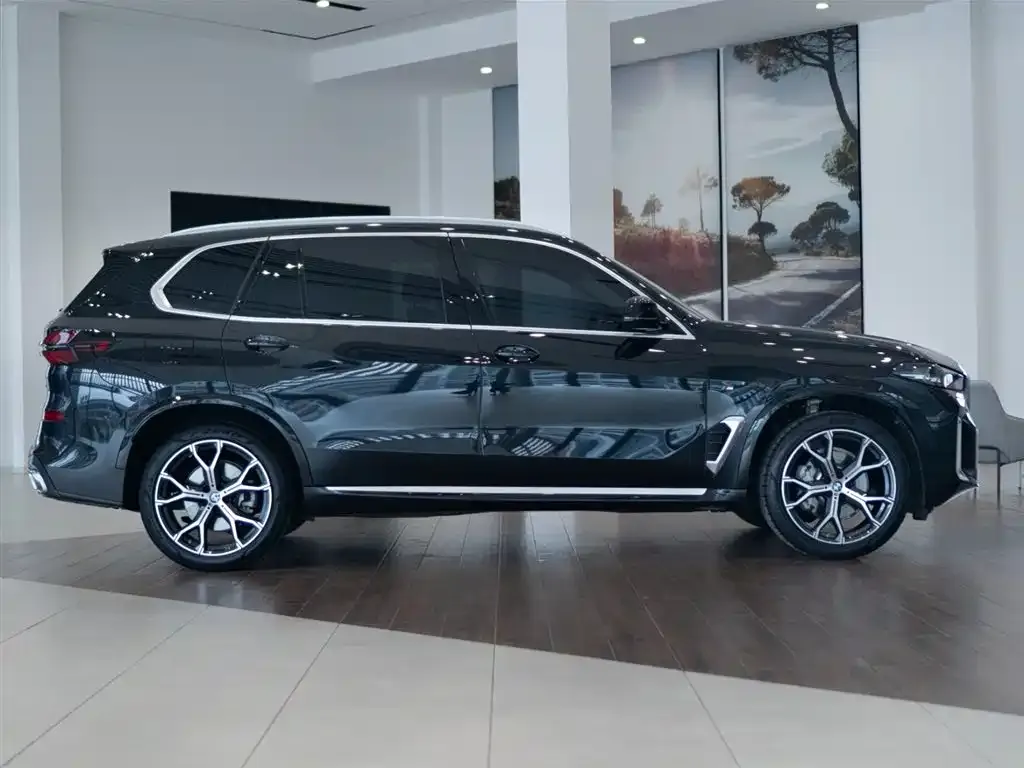 BMW X5 — фото 9
