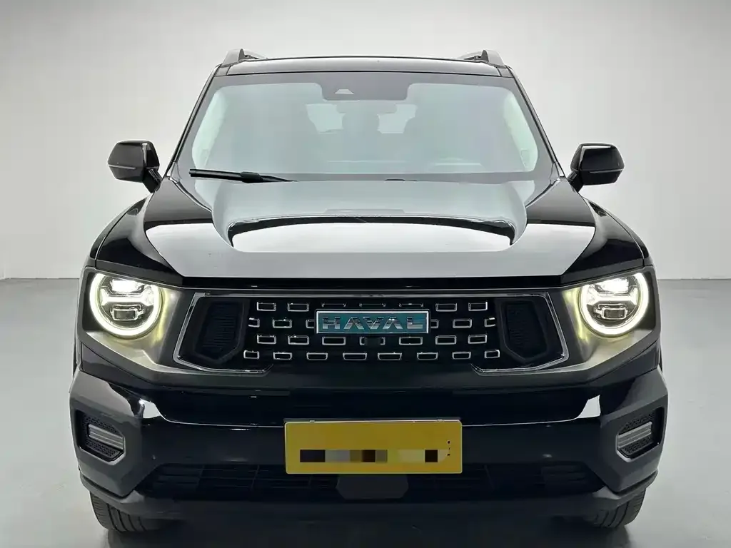 Haval H7 (Big Dog Plus) New Energy — фото 2