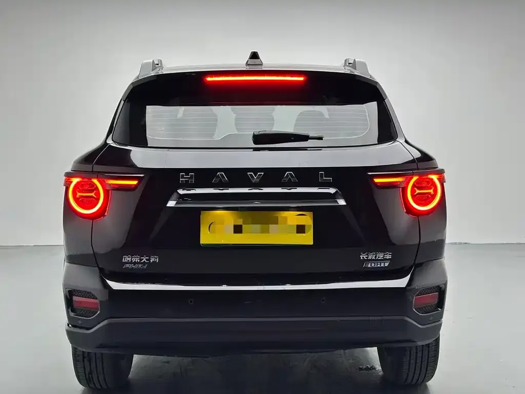 Haval H7 (Big Dog Plus) New Energy — фото 5