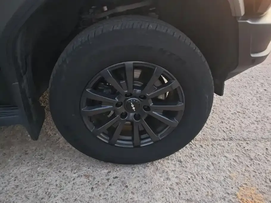 Fang Cheng Bao Leopard 5 — фото 10