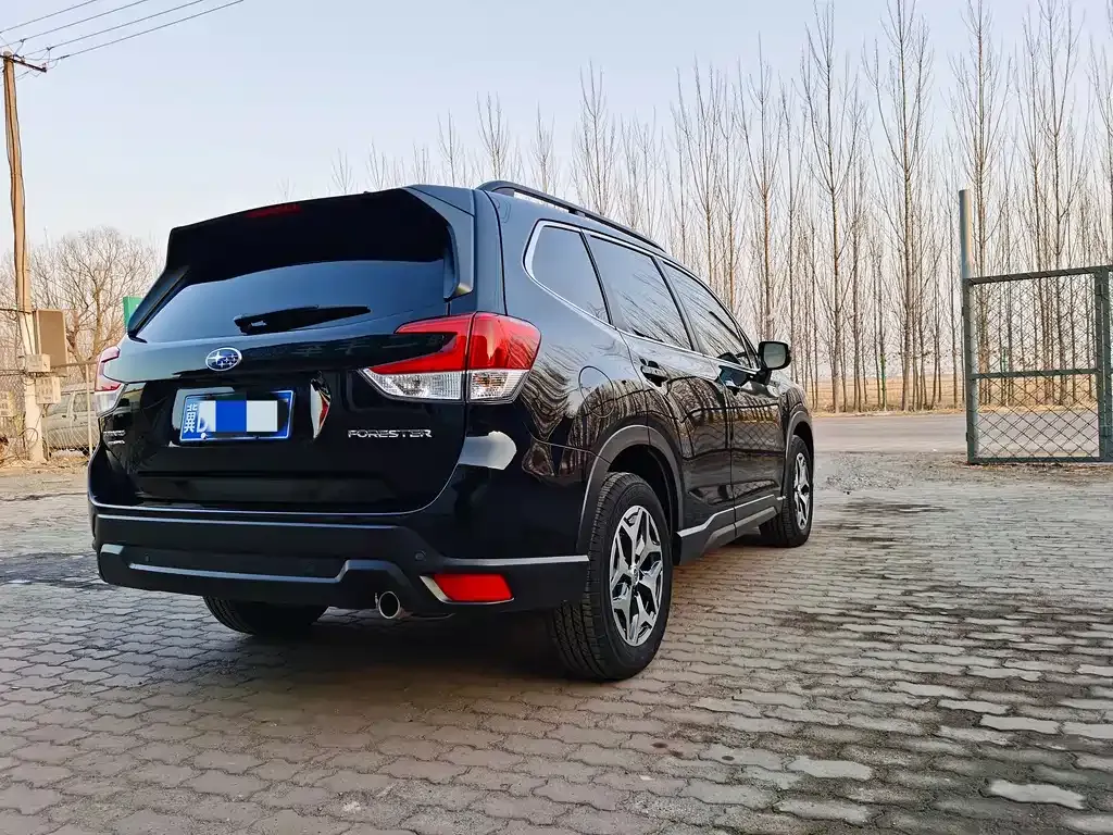 Subaru Forester — фото 10