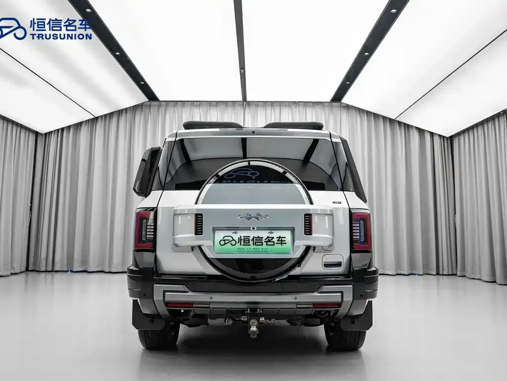 Fang Cheng Bao Leopard 8 — фото 10