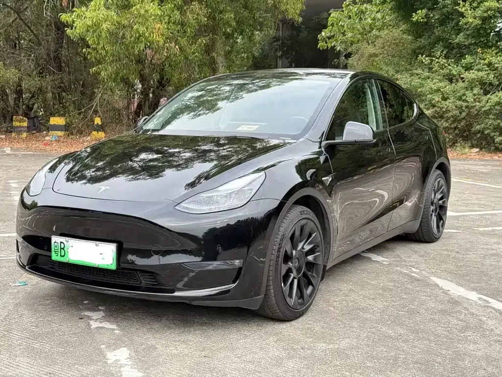 Tesla Model Y — фото 1