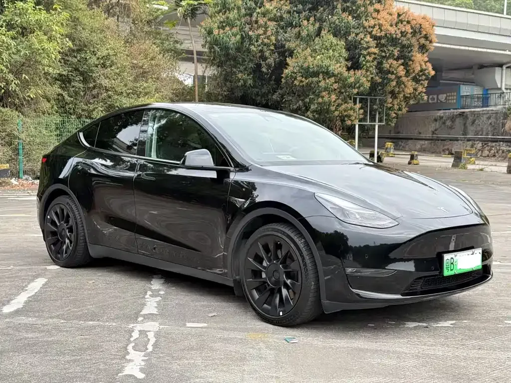 Tesla Model Y — фото 5