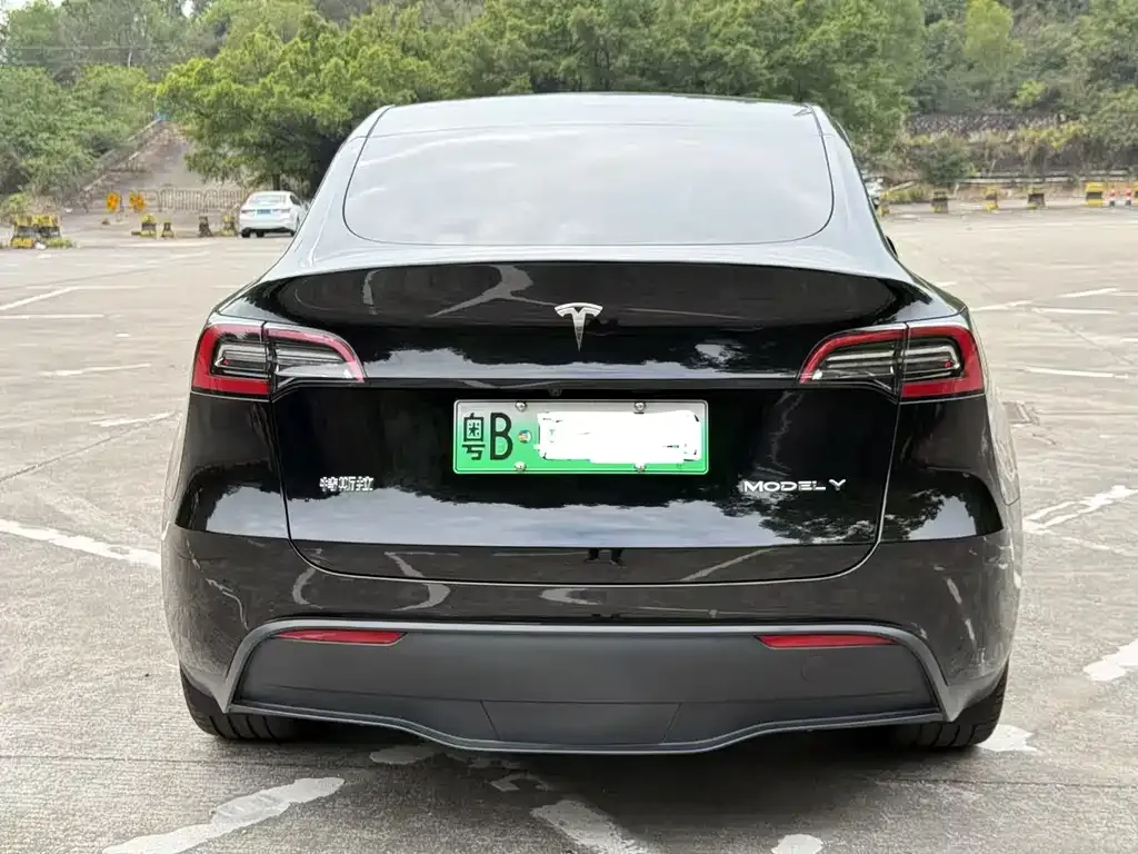 Tesla Model Y — фото 3