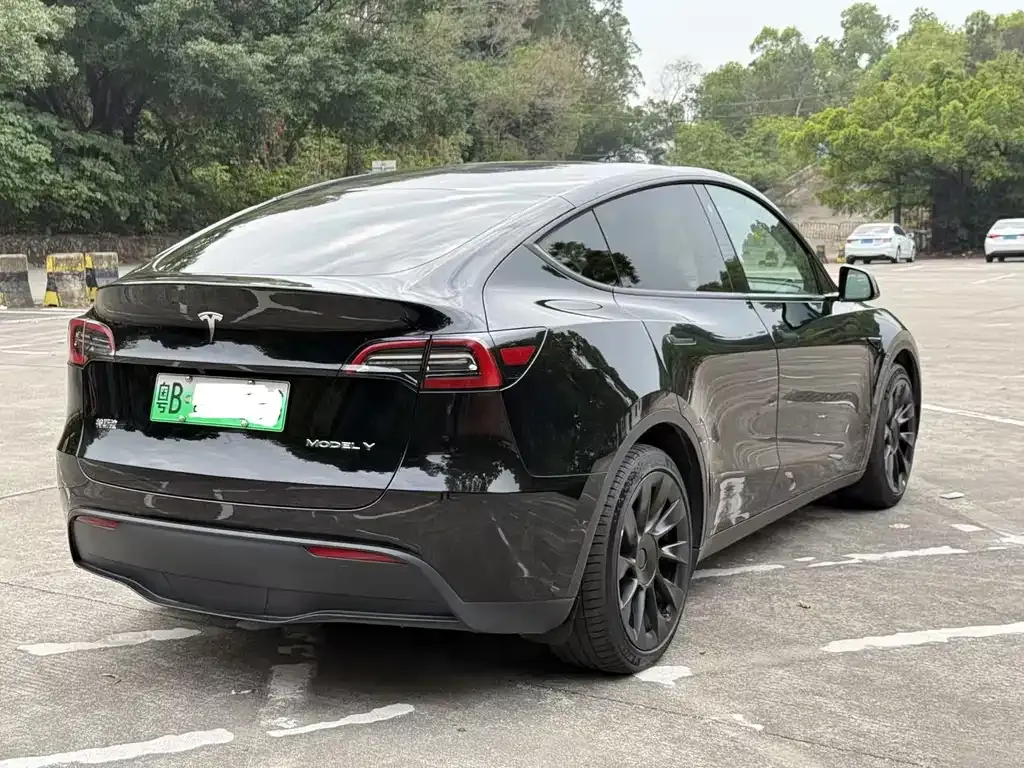Tesla Model Y — фото 7