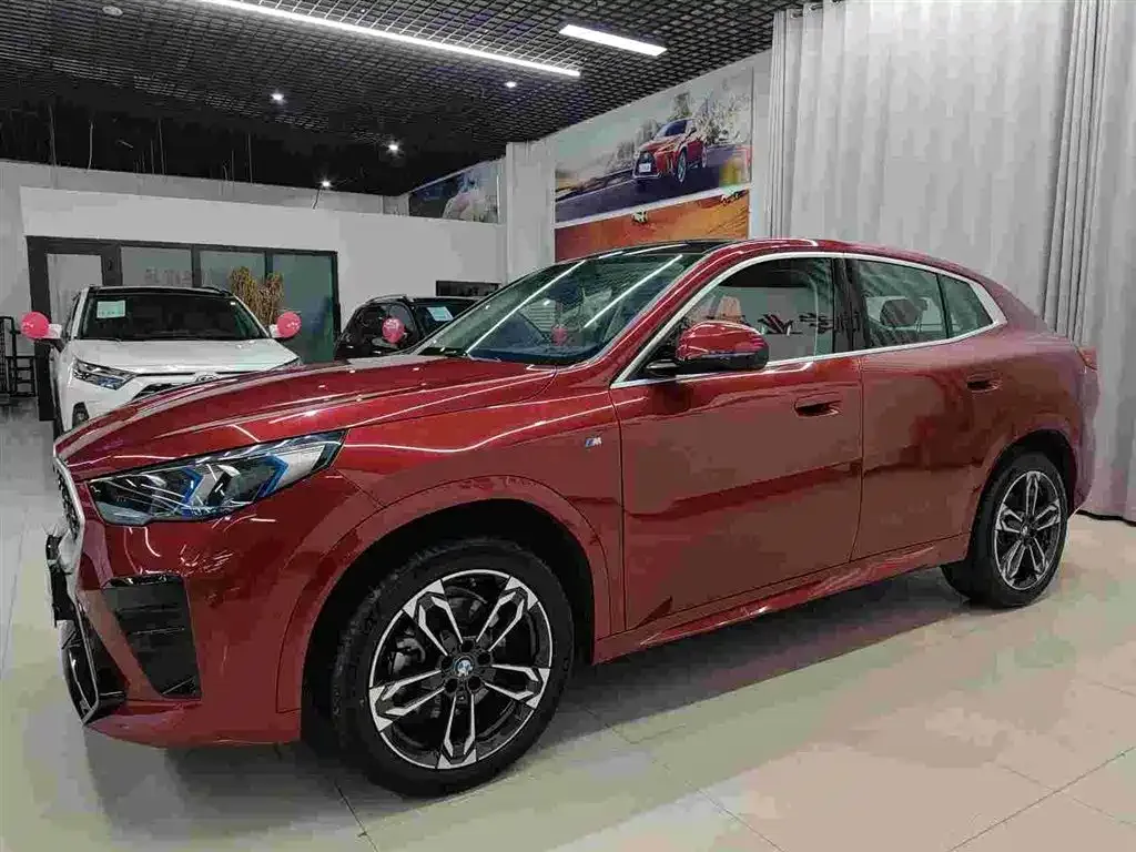 BMW X2 (Import) — фото 1