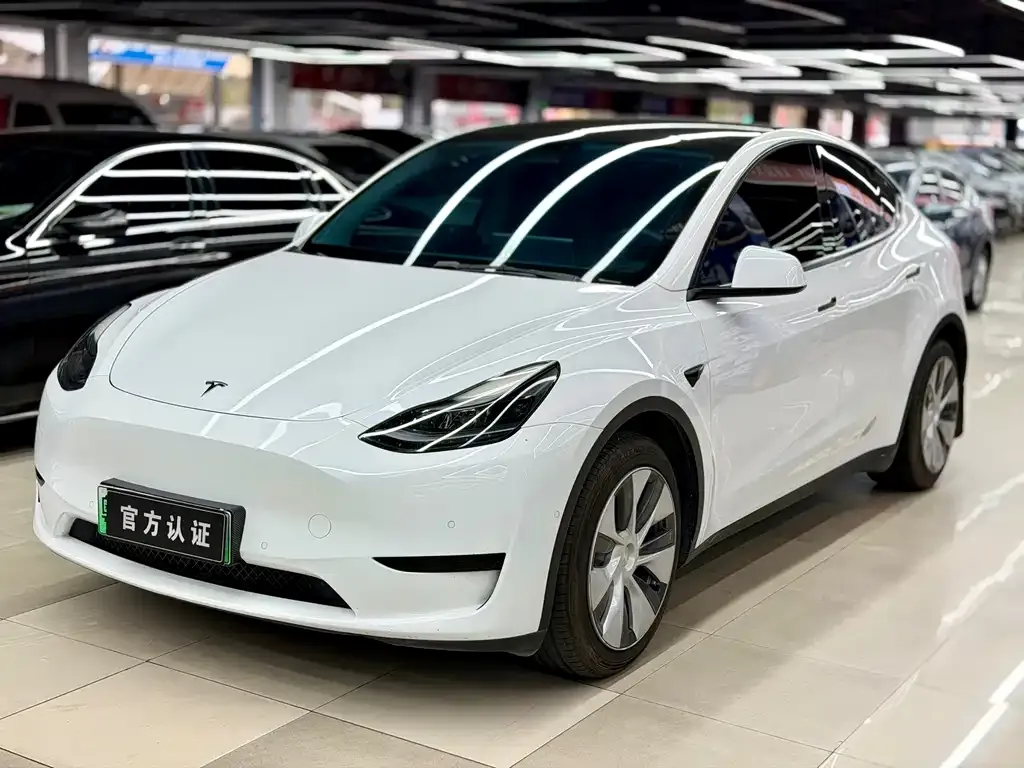 Tesla Model Y — фото 1