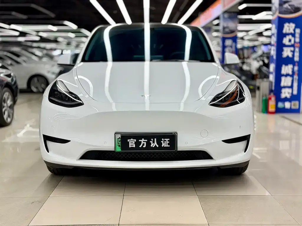 Tesla Model Y — фото 4