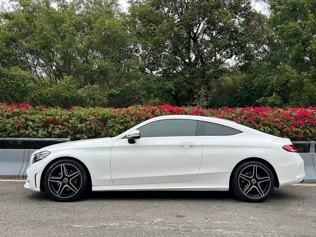 Mercedes-Benz C-Class (Import) — фото 9
