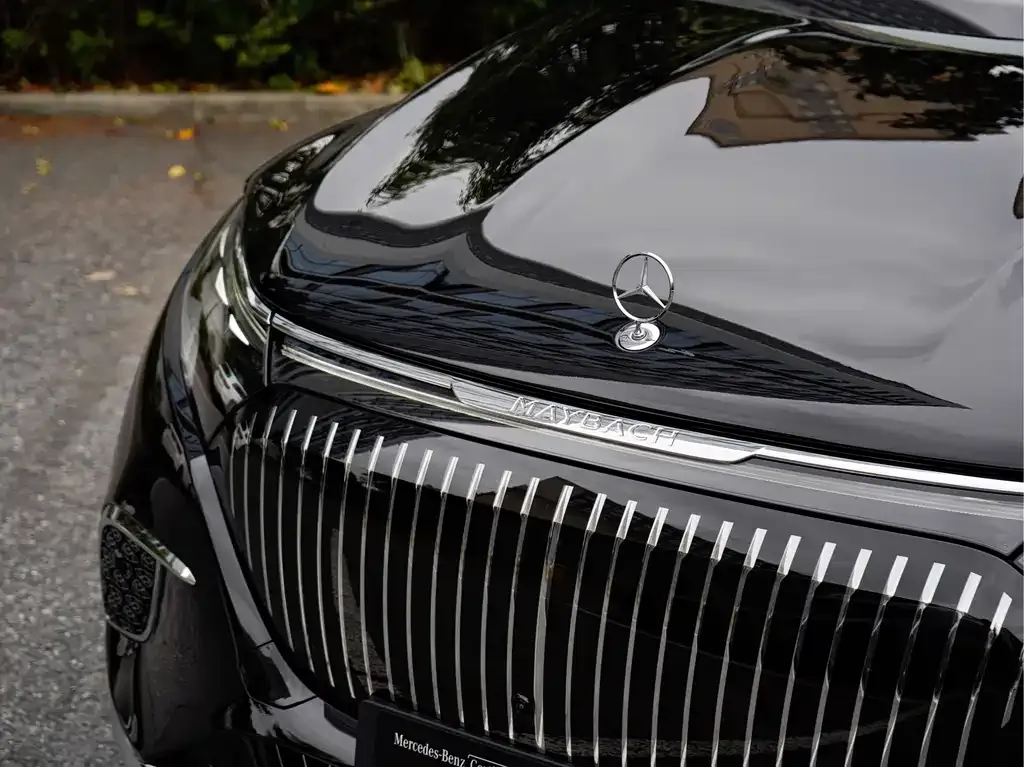 Mercedes-Benz EQS SUV — фото 9