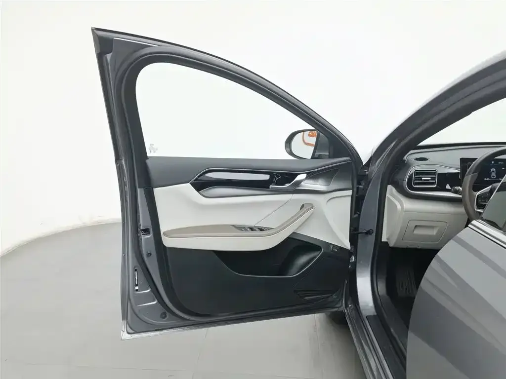 BYD Qin PLUS — фото 4
