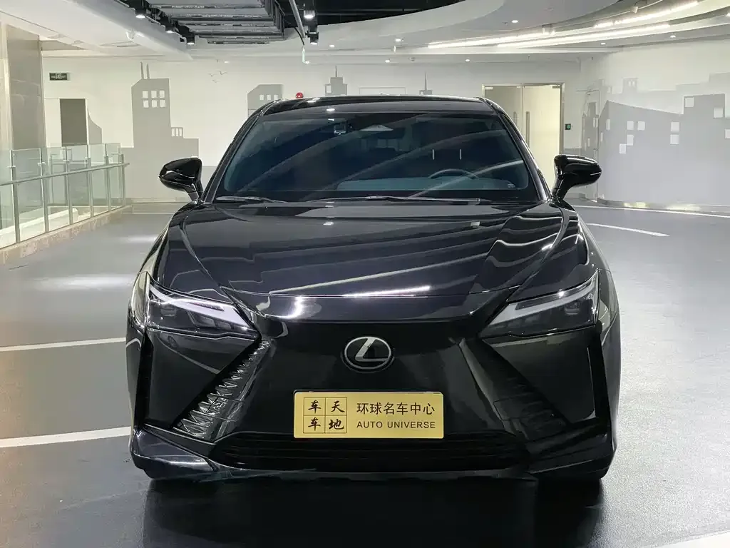 Lexus RZ — фото 10