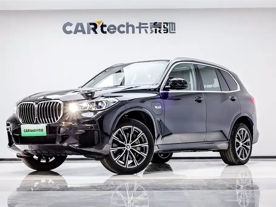 BMW X5 New Energy (Import) — фото 1