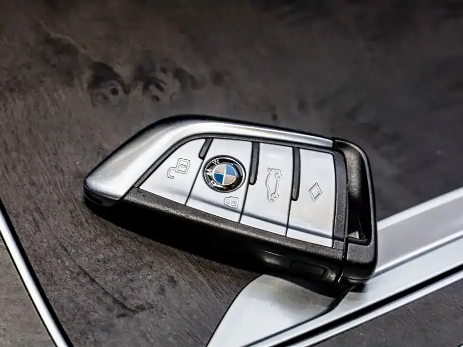 BMW X5 New Energy (Import) — фото 7