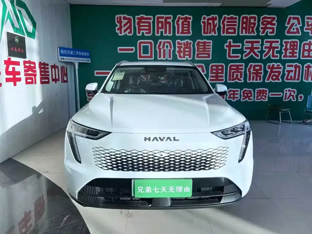 Haval Xiaolong MAX — фото 10