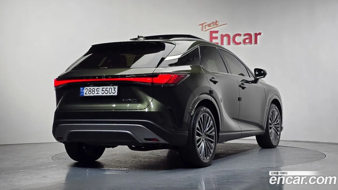 Lexus RX — фото 10