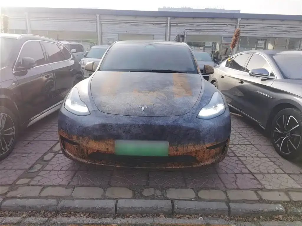 Tesla Model Y — фото 3