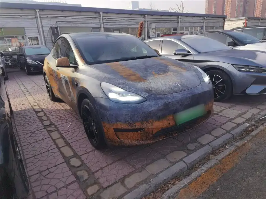 Tesla Model Y — фото 2