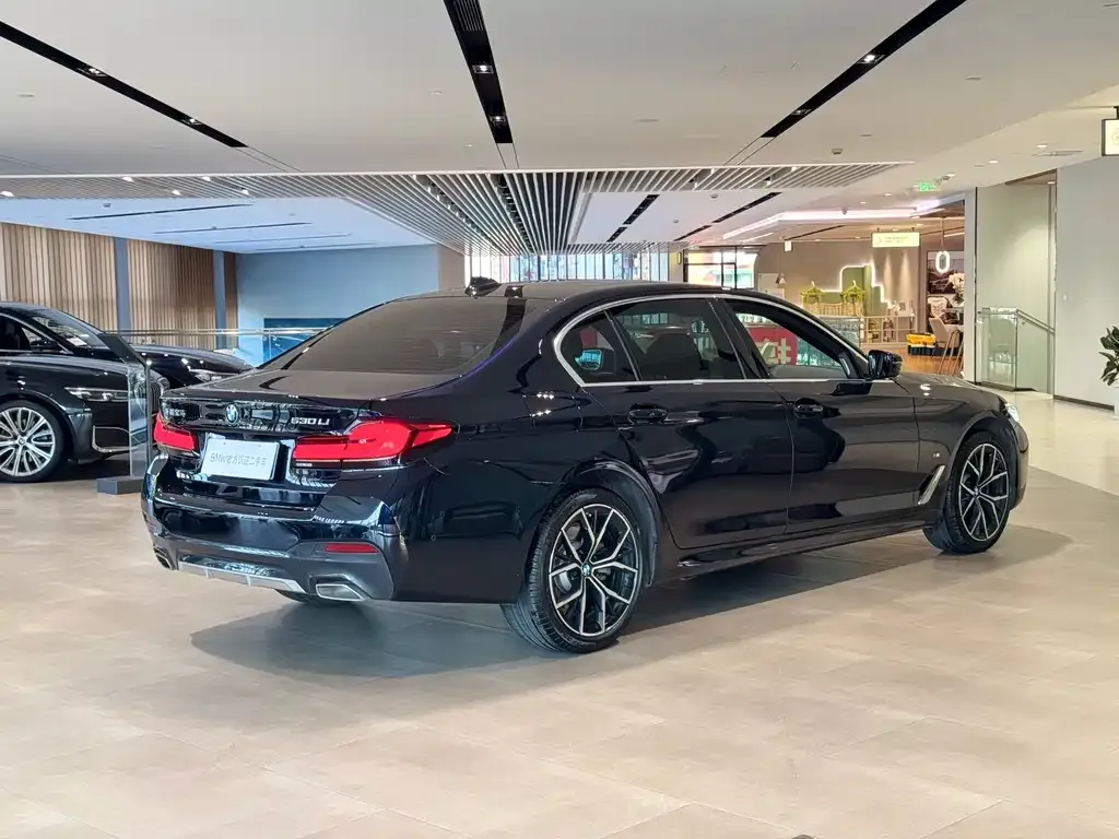 BMW 5 Series — фото 5