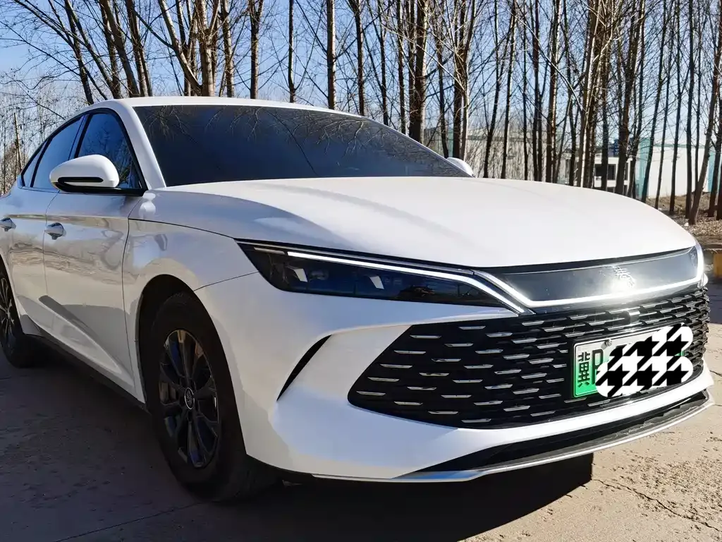 BYD Qin L — фото 10