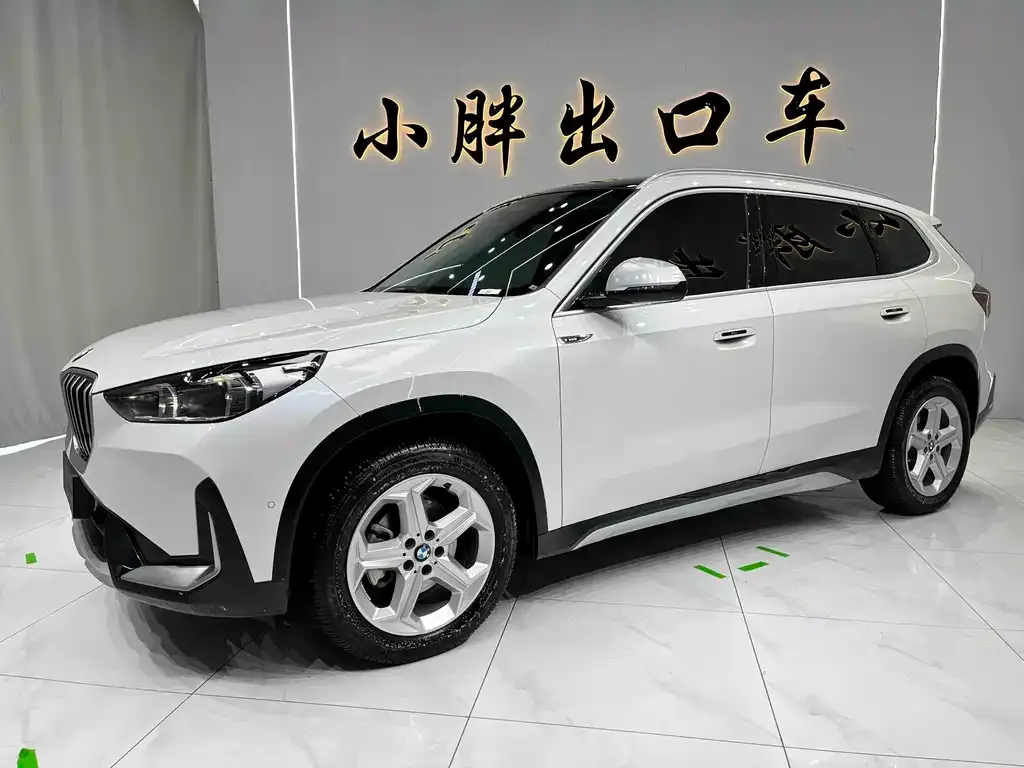 BMW X1 — фото 1