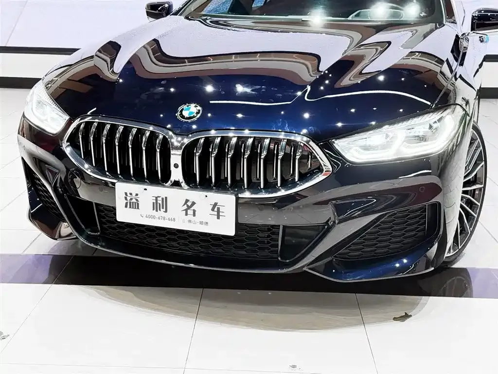 BMW 8 Series — фото 9