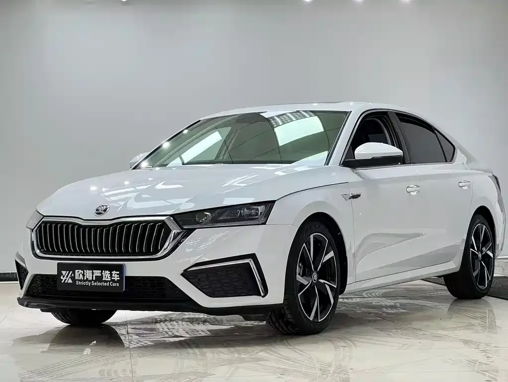 Skoda Octavia — фото 1