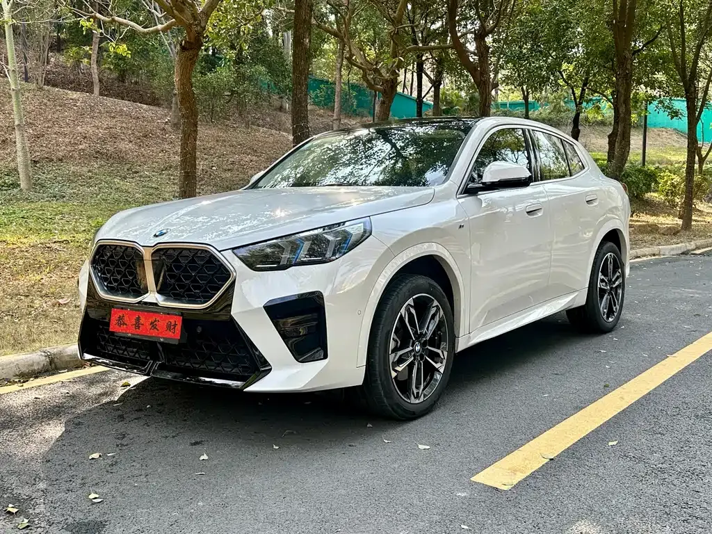 BMW X2 (Import) — фото 1
