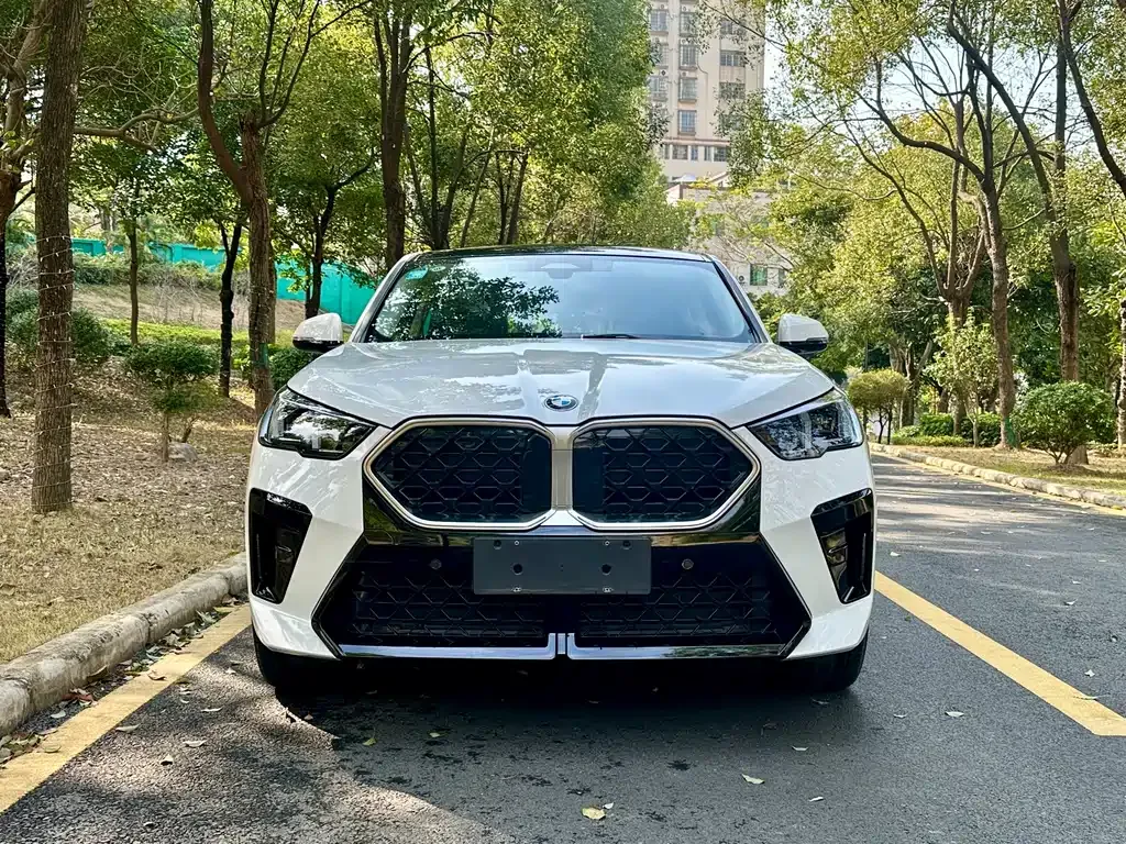 BMW X2 (Import) — фото 10