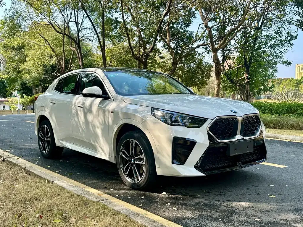 BMW X2 (Import) — фото 6