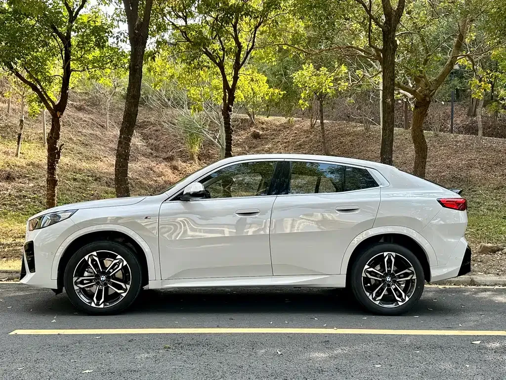 BMW X2 (Import) — фото 8