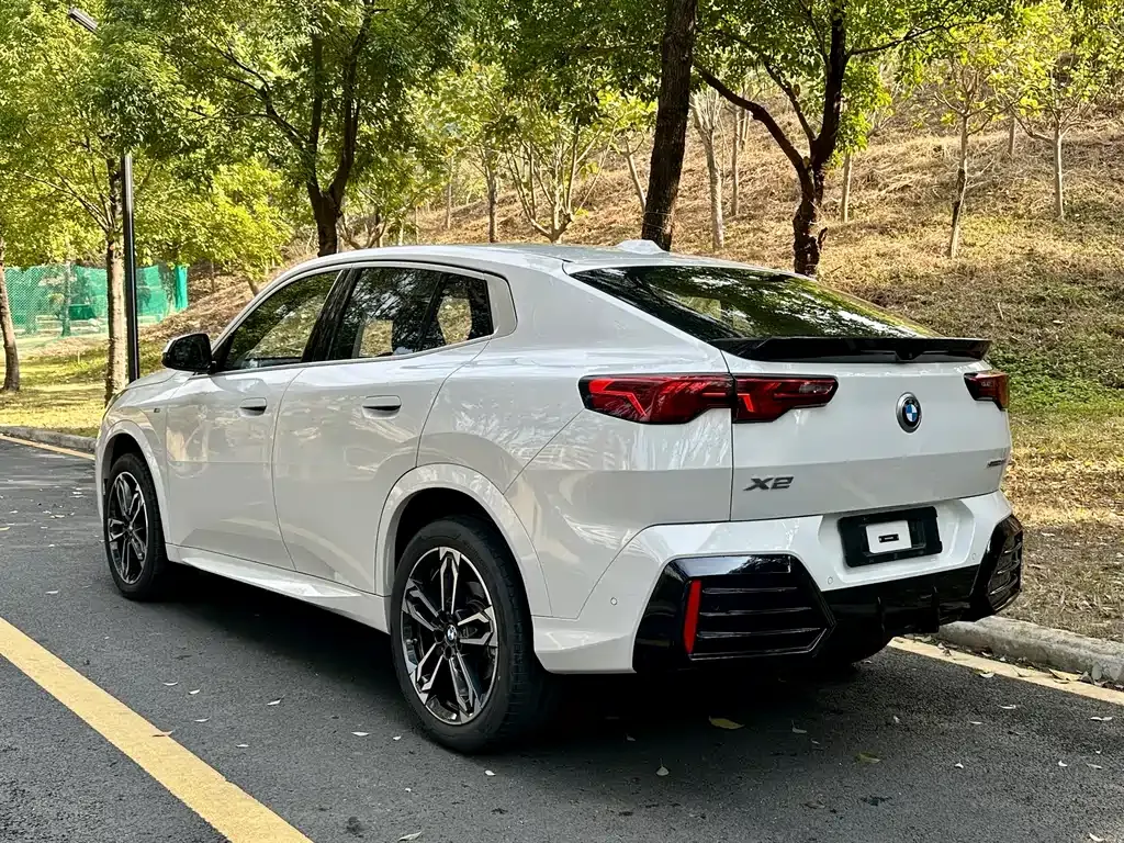 BMW X2 (Import) — фото 7