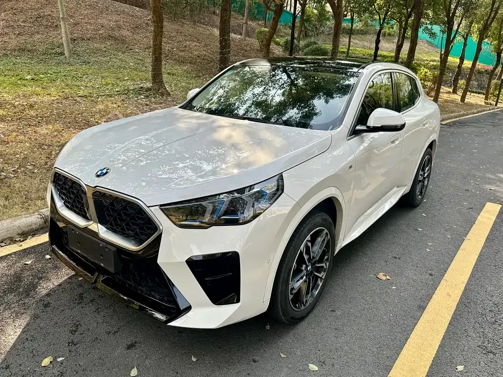BMW X2 (Import) — фото 4