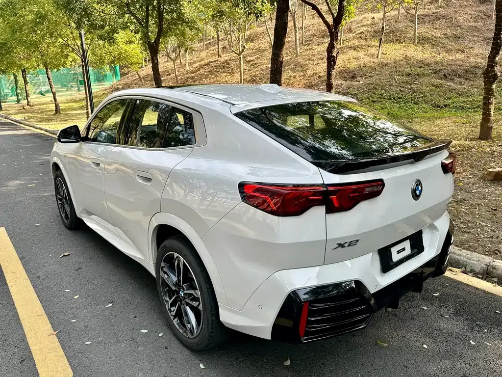 BMW X2 (Import) — фото 9