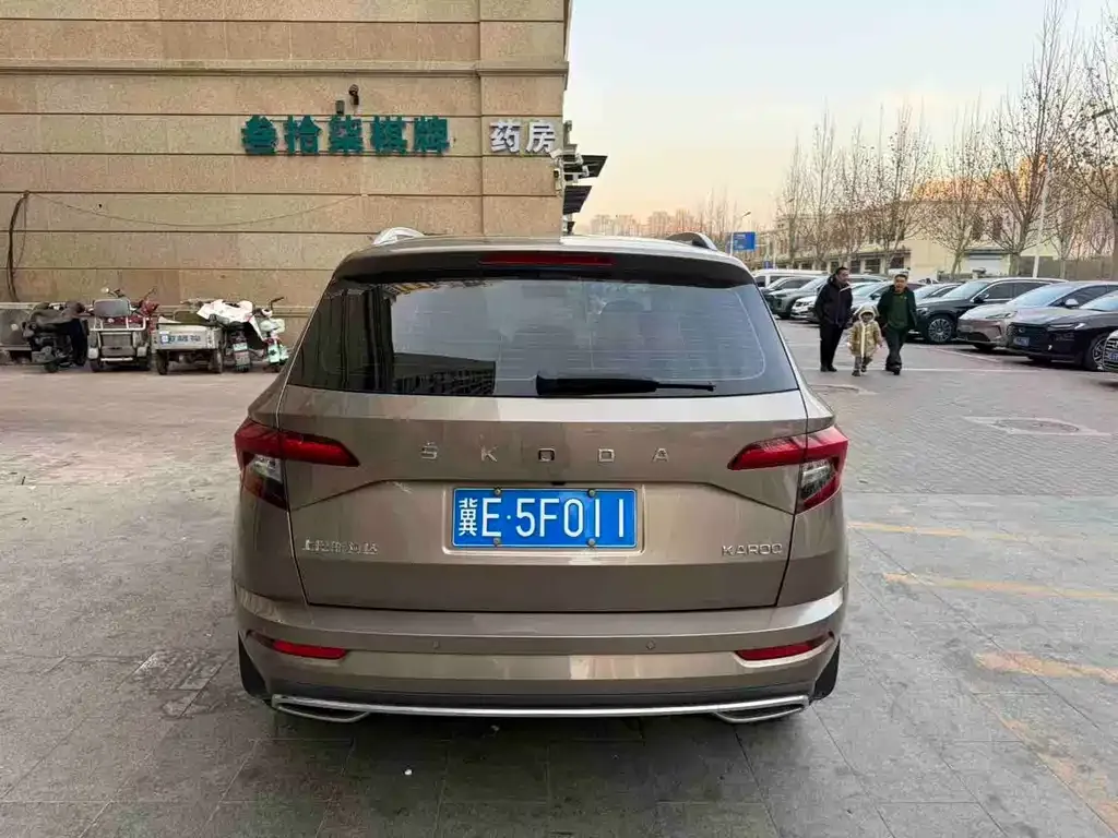 Skoda Karoq — фото 10