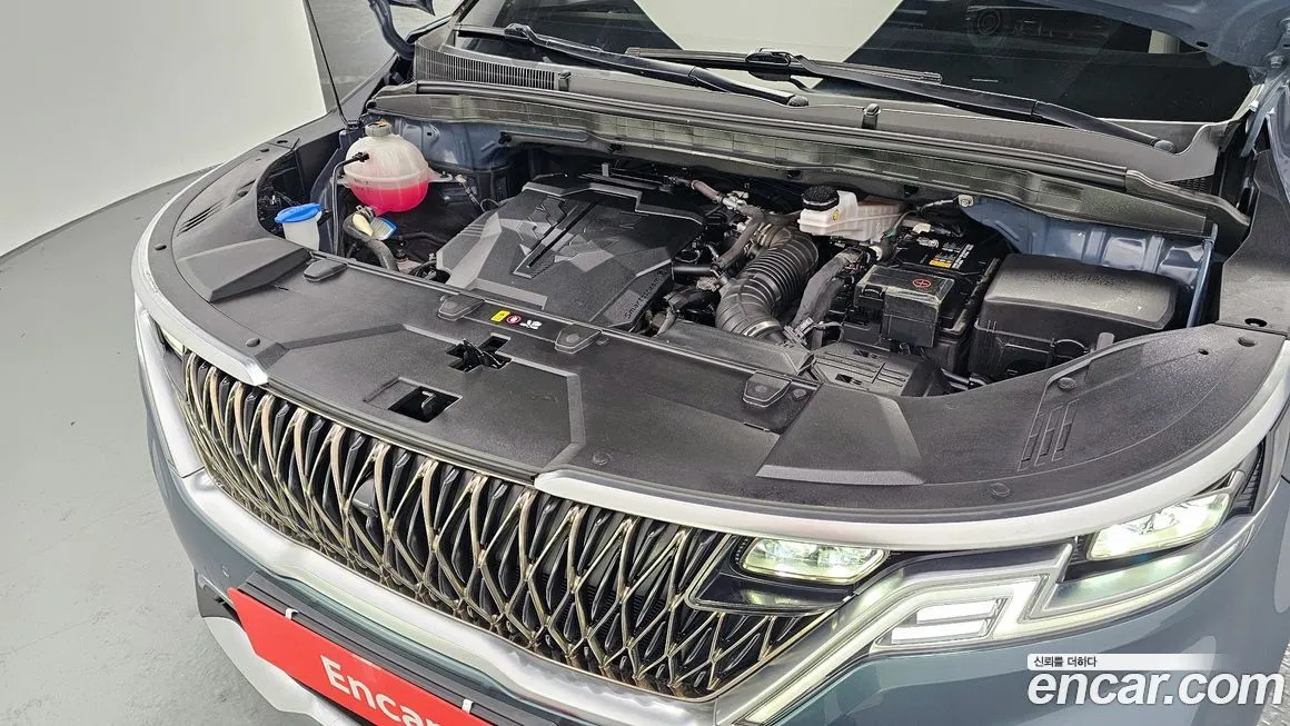 Kia Carnival — фото 10