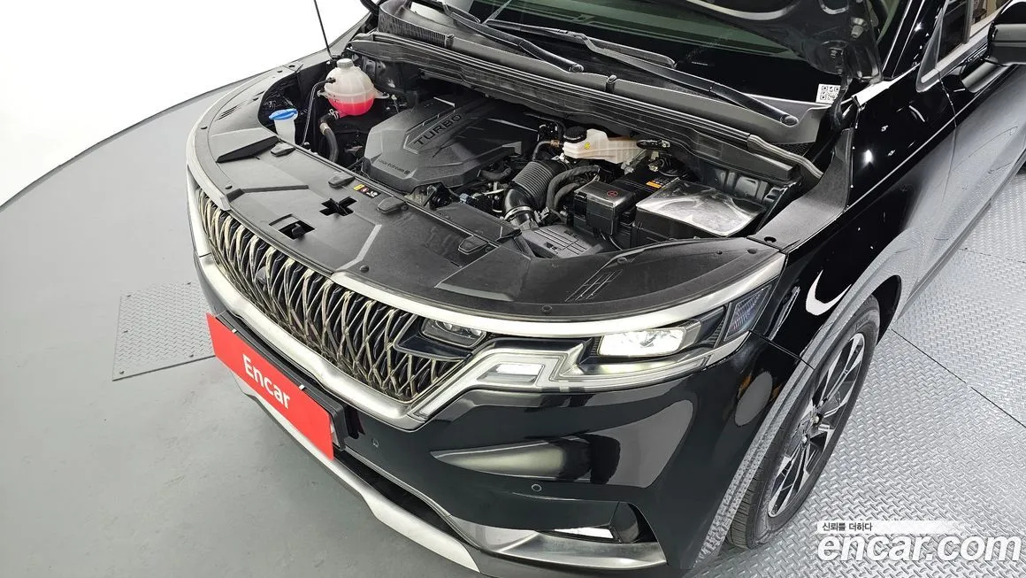 Kia Carnival — фото 10