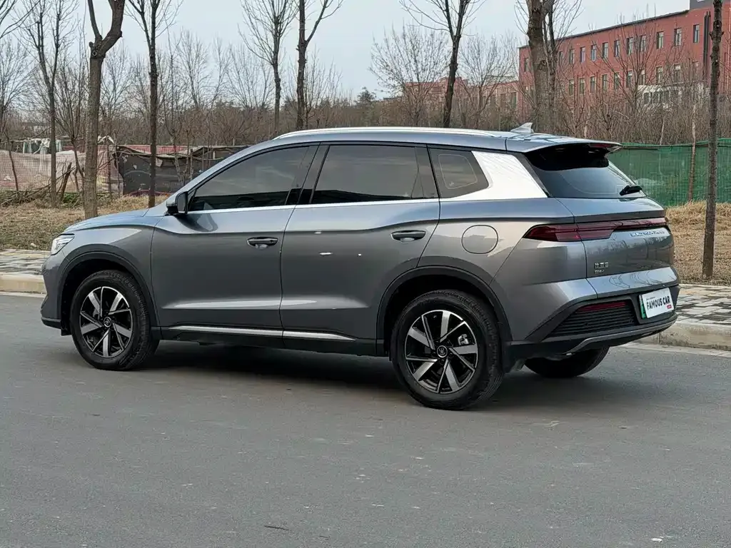 BYD Pro New Energy — фото 2