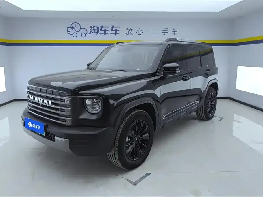 Haval Menglong New Energy — фото 1