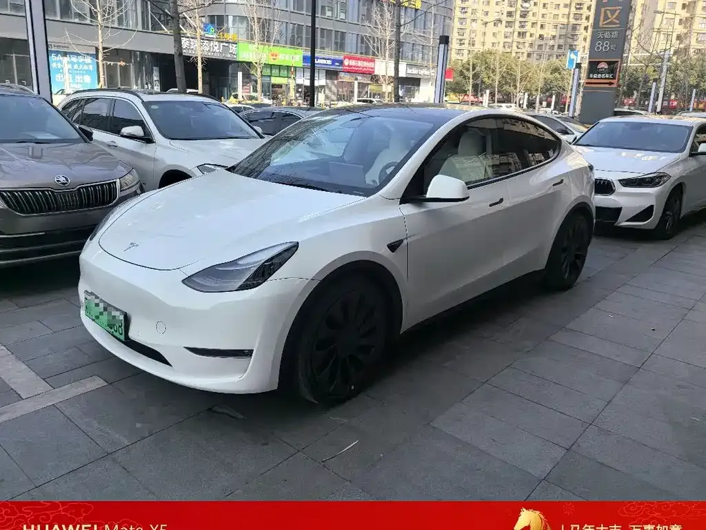 Tesla Model Y — фото 1