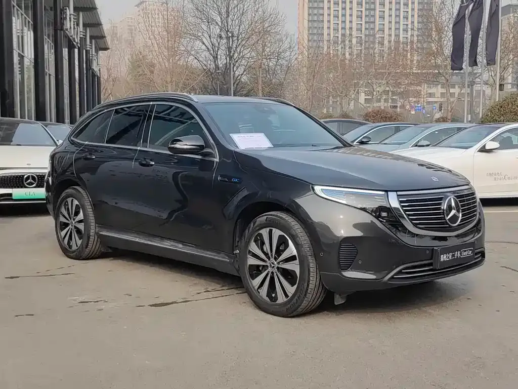 Mercedes-Benz EQC — фото 10